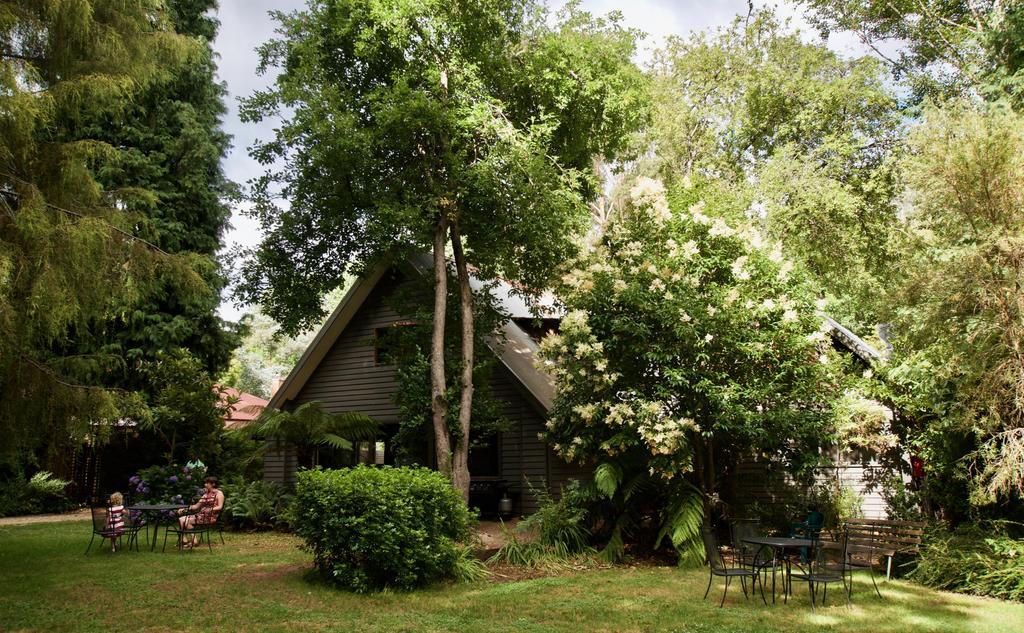 Mountain View Holiday Retreat Harrietville Extérieur photo